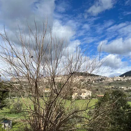 Affittacamere Rosignoli